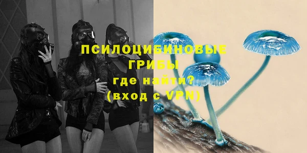 mdpv Вяземский