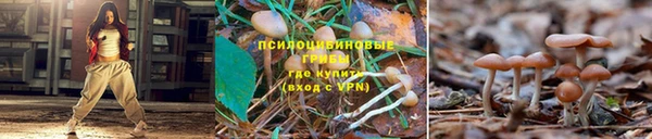 героин Абаза