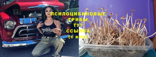 героин Абаза