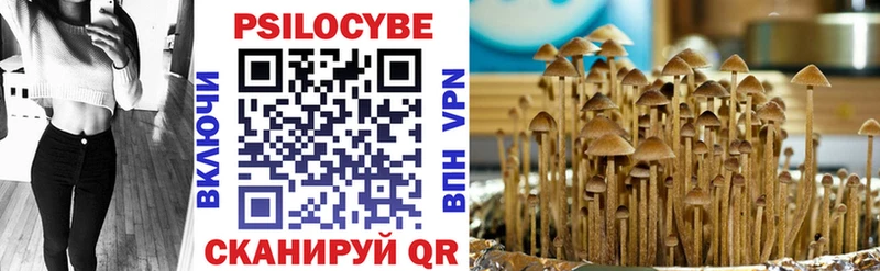 Галлюциногенные грибы Psilocybe  цены   Горячеводский 